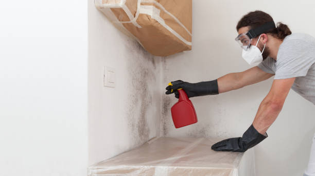 Professional Bathroom Mold Removal technician working in Bennett, NC