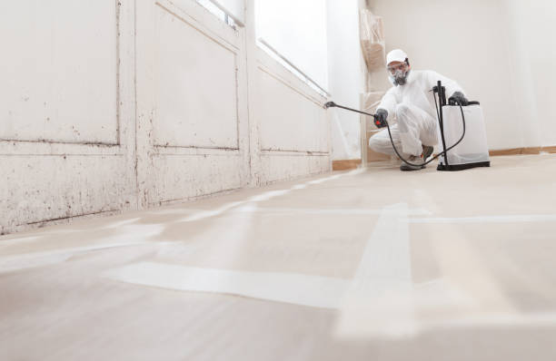 24/7 Emergency Bathroom Mold Removal experts in Bennett, NC